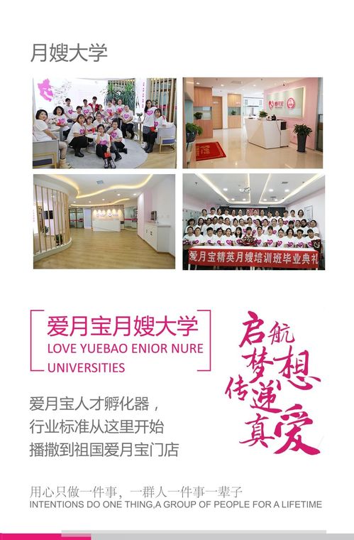愛(ài)月寶月嫂培訓(xùn)加盟 為什么它成為行業(yè)新標(biāo)桿？